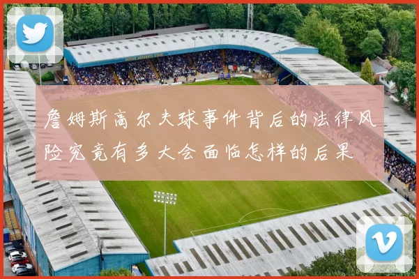 詹姆斯高尔夫球事件背后的法律风险究竟有多大会面临怎样的后果
